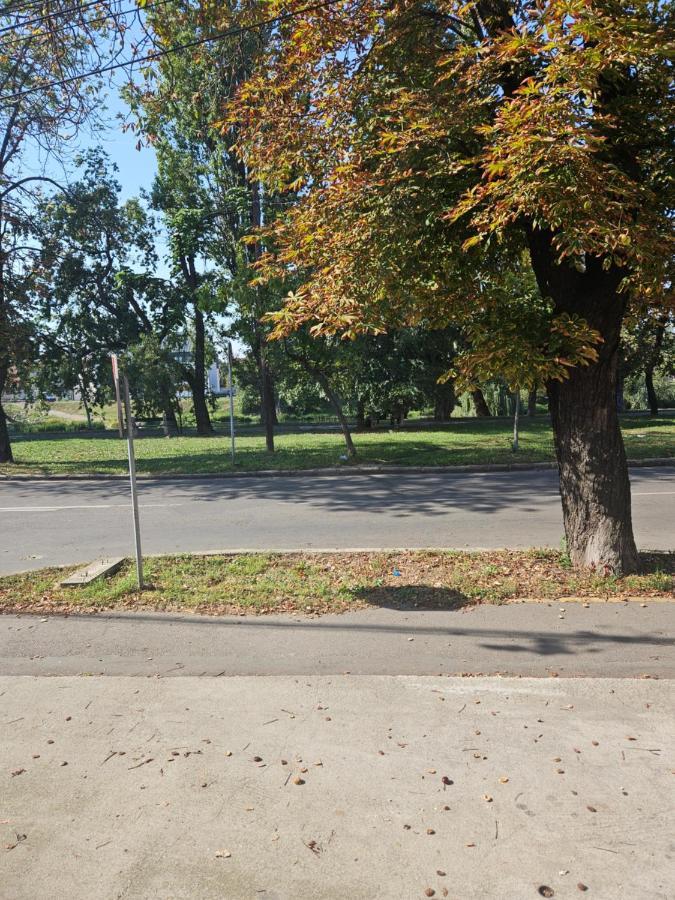 Laci Lak Premium apartment Oradea Zewnętrze zdjęcie
